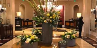 baltimore_hotel_flowers_90