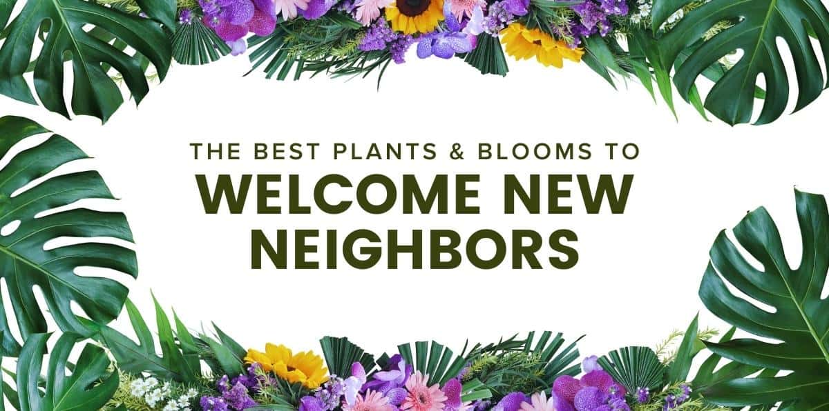 Our Favorite Symbolic Blooms and Greens to New Neighbors
