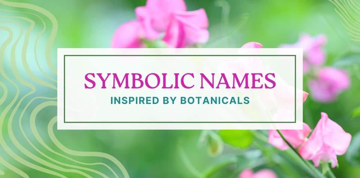 Baby Names with Symbolism from the Wonderful World of Nature Flowers